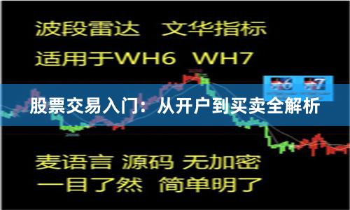 股票交易入门:从开户到买卖全解析